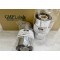ruy bang resin GMP3